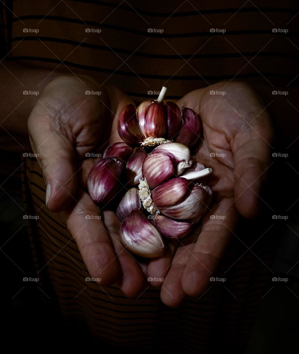 Garlic in hand 