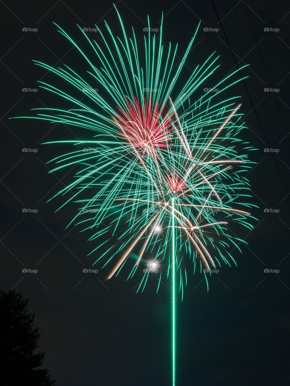 Vertical photo of greens and red fireworks exploding in the night sky with a tree silhouetted on the lower left