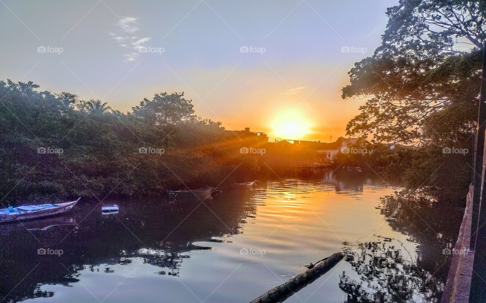 Pôr do sol na Ilha do Governador. Muito pássaros, muita vida!