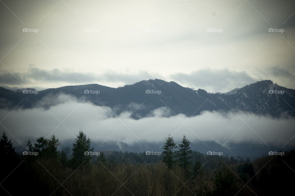 Fog around the foothills 