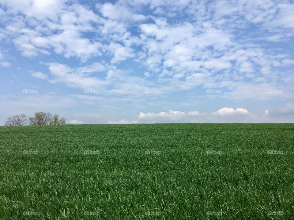 Skåne landscape, Sweden.