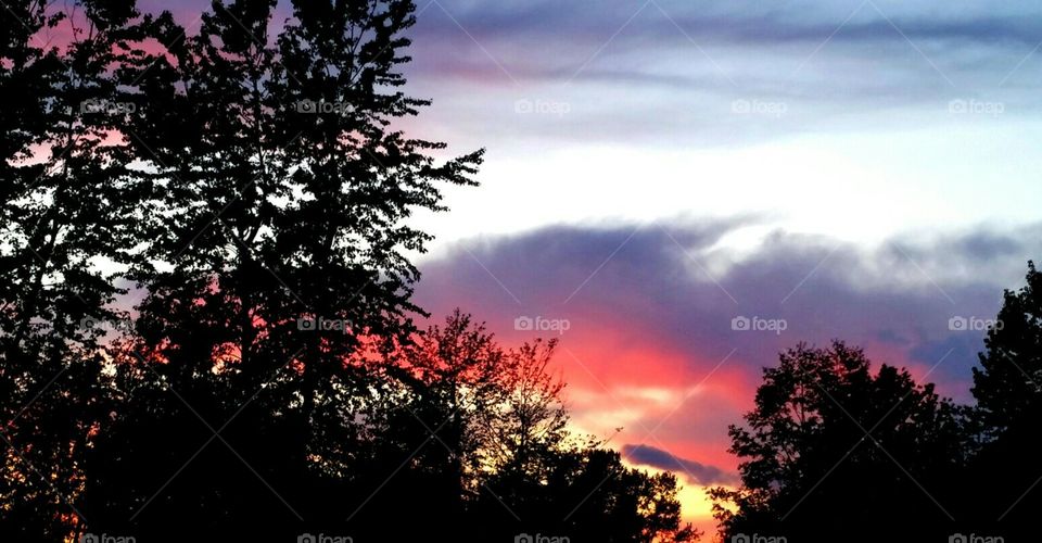 Pacific Sunset . Pacific Sunset 