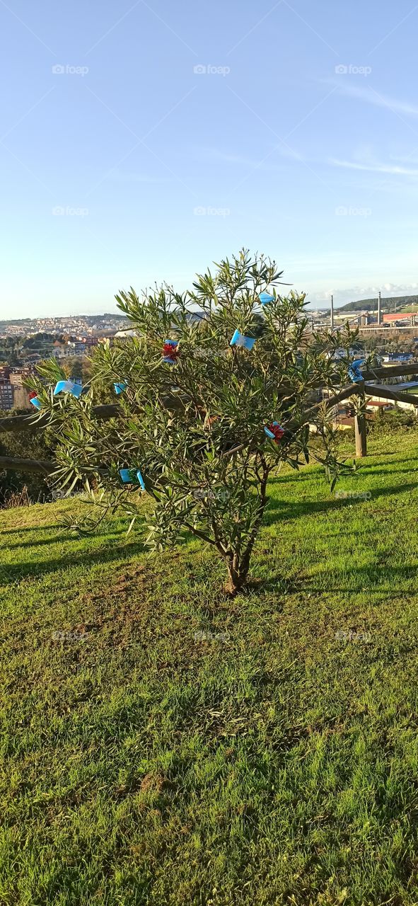 decorated christmas tree