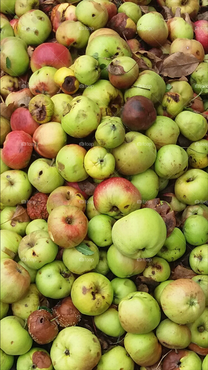 apples natural