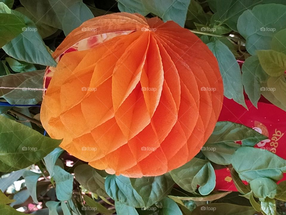 Paper flower