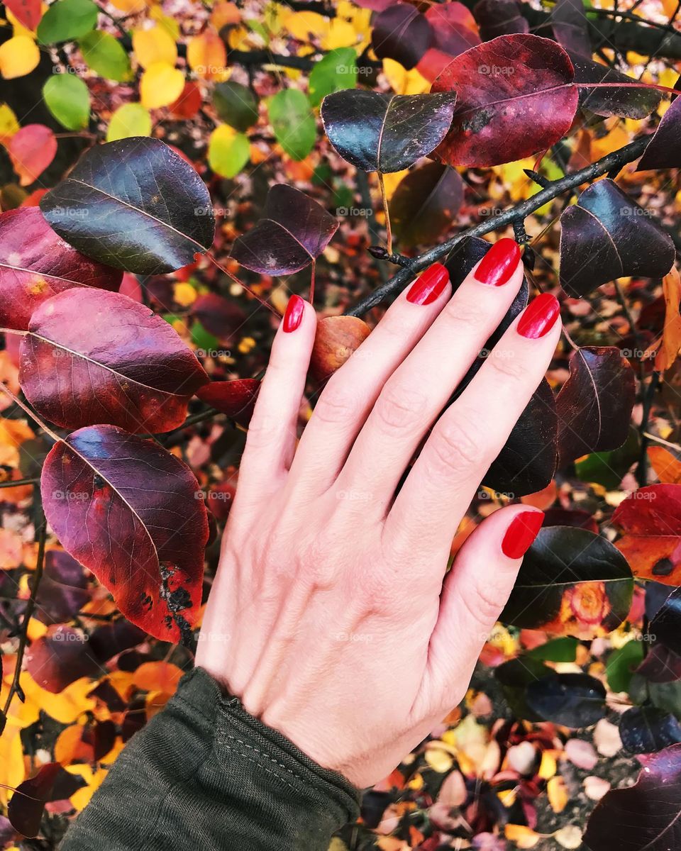 Red manicure 