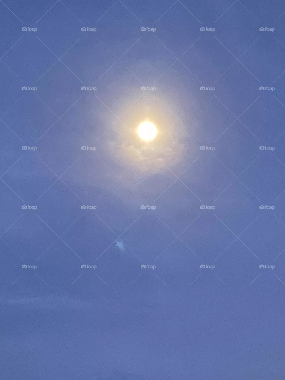 The moonlight is out 