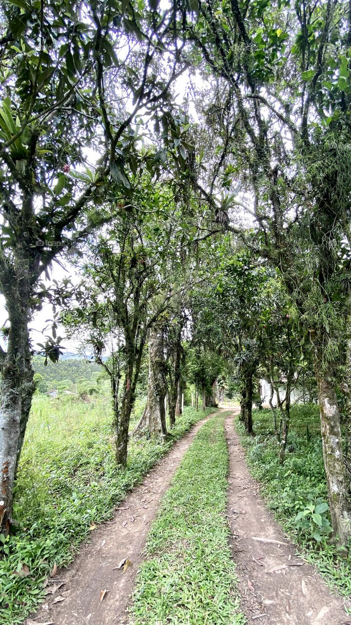 Paths that transmit peace