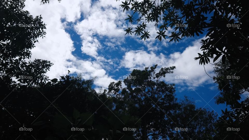 Blue sky, clouds amd trees