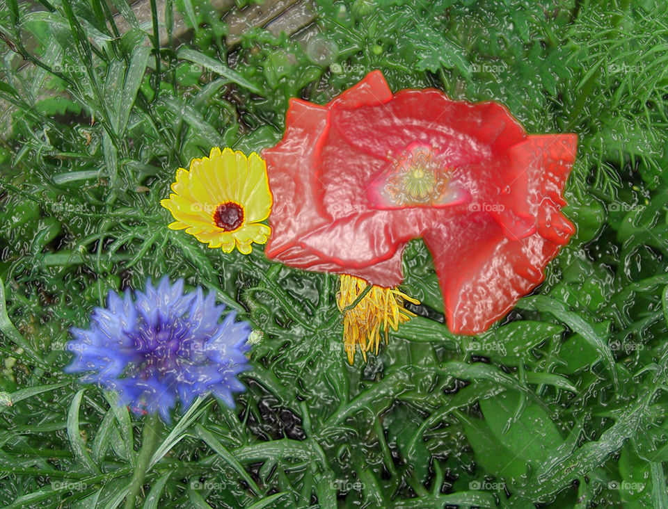 plasticine flowers