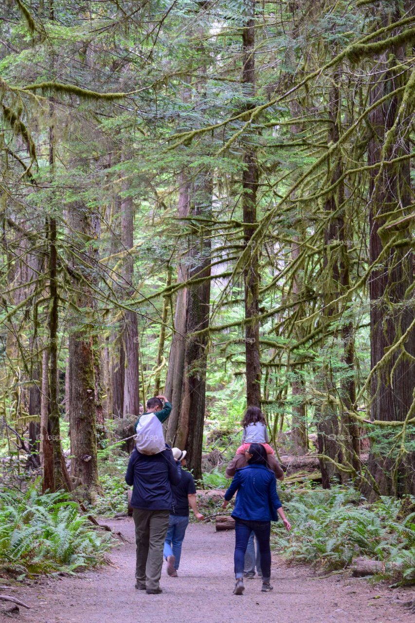 A family hiking into the woods in Washington