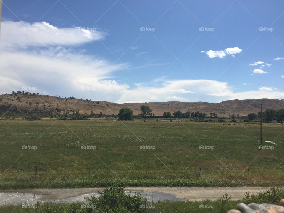 Landscape, No Person, Nature, Grass, Sky