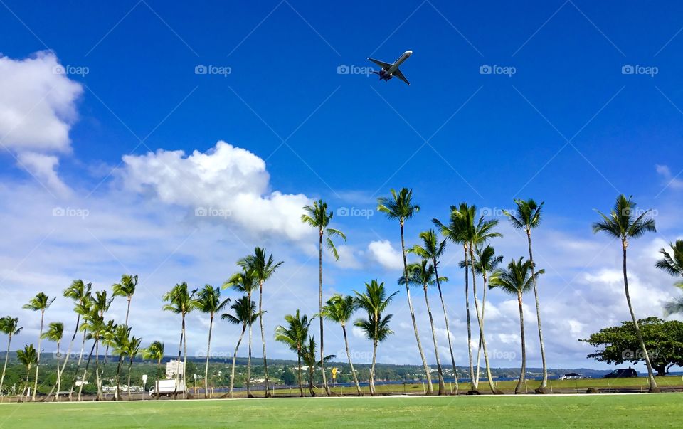 Plane arriving in Hilo