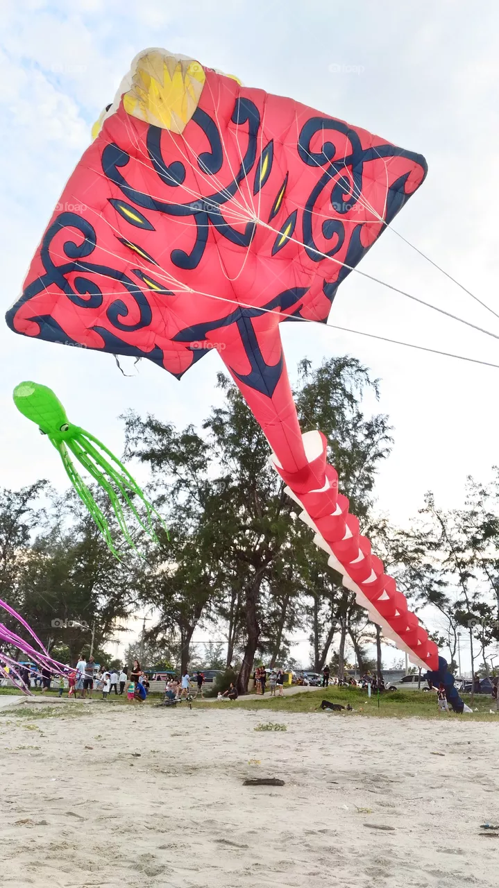 kites