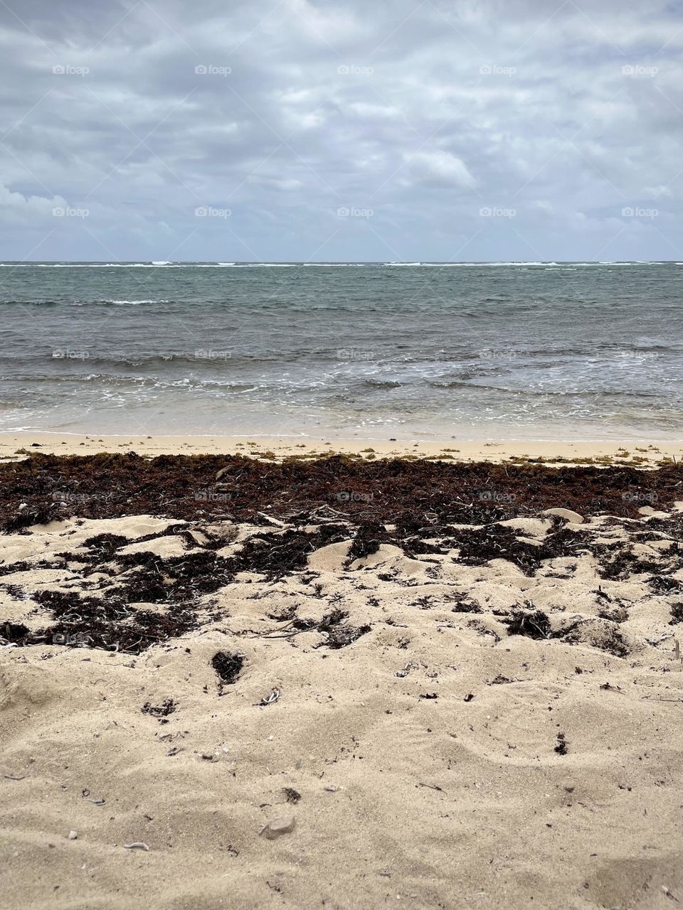 Wild Caribbean beach of the Caribbean