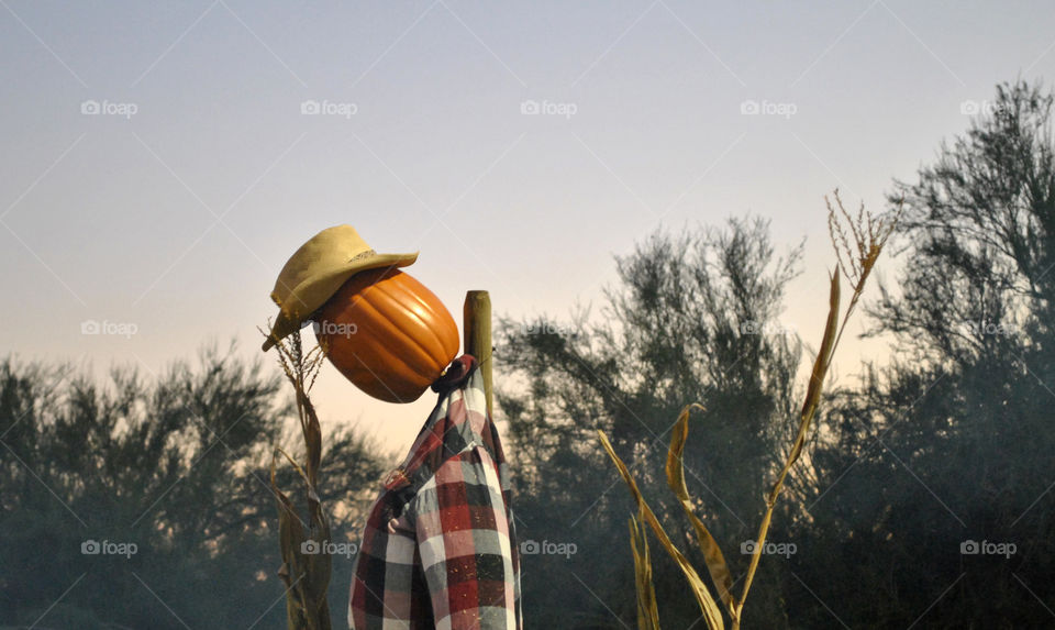 Sad Scarecrow 