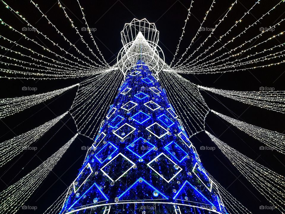 The most beautiful Christam tree in Europe.