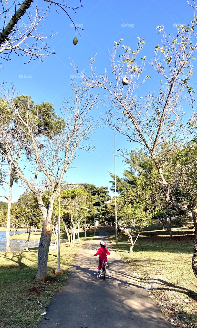 A pleasant moment, of peace and harmony: seeking the heat and the blue sky in a calm Brazilian afternoon... / Momento gostoso, de paz e harmonia: buscando o calor e o céu azul numa tranquila tarde brasileira…