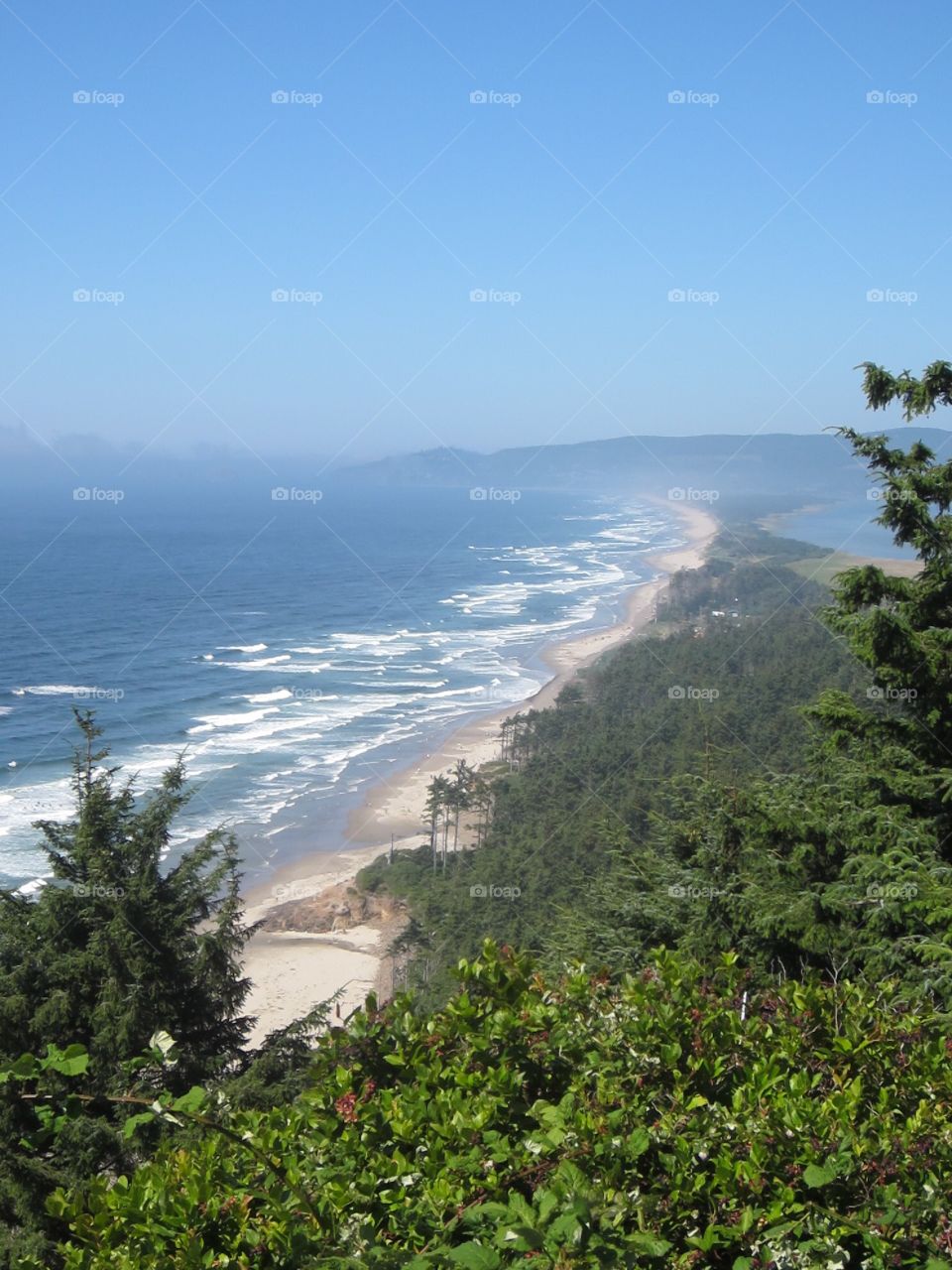 Oregon shoreline 