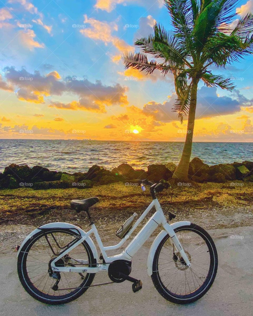 bicycle sunset
bicycle sunset images
bicycle and sunset quotes
bicycle rental sunset beach
bicycle shop sunset beach bicycle shop sunset hills mo
bicycle shop sunset park brooklyn
bicycle shop sunset way
bicycle shop sunset
bicycle silhouette sunset