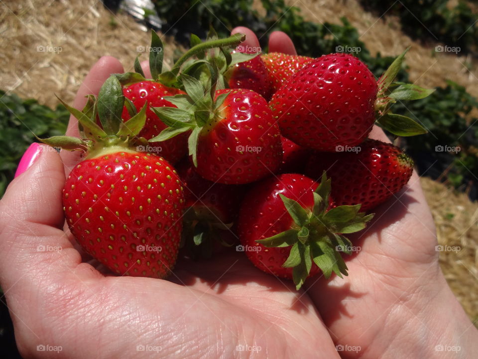 strawberries