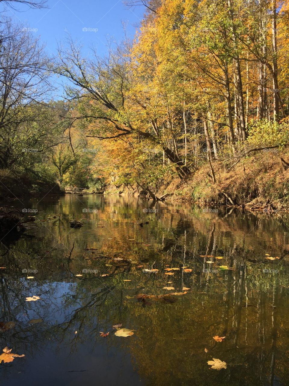 Fall Creek Landscape 