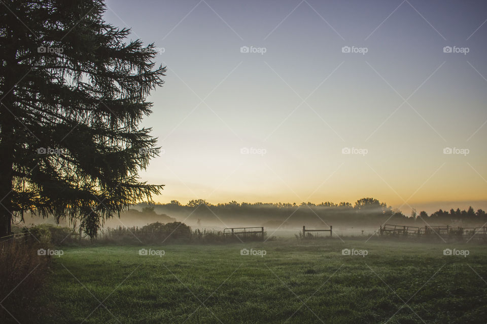 Foggy Farmland 