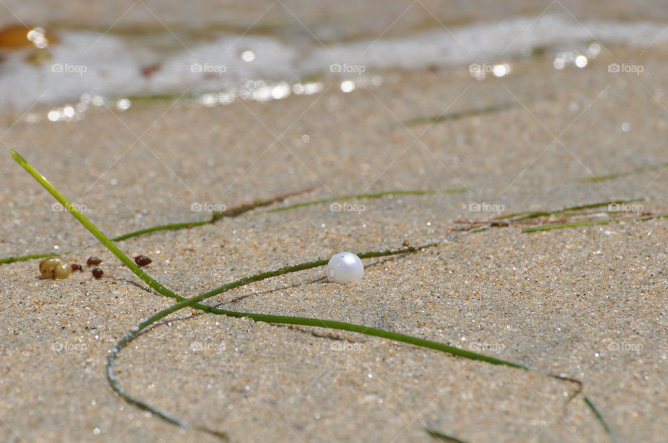 Pearl on the beach