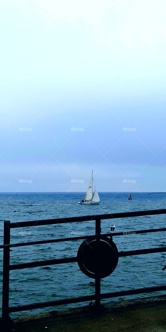 A sailboat