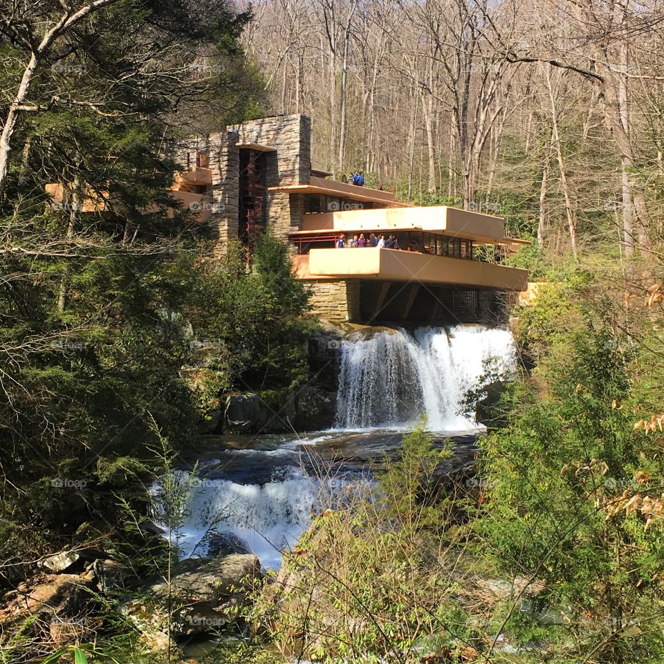 Fallingwater by frank lloyd Wright 
