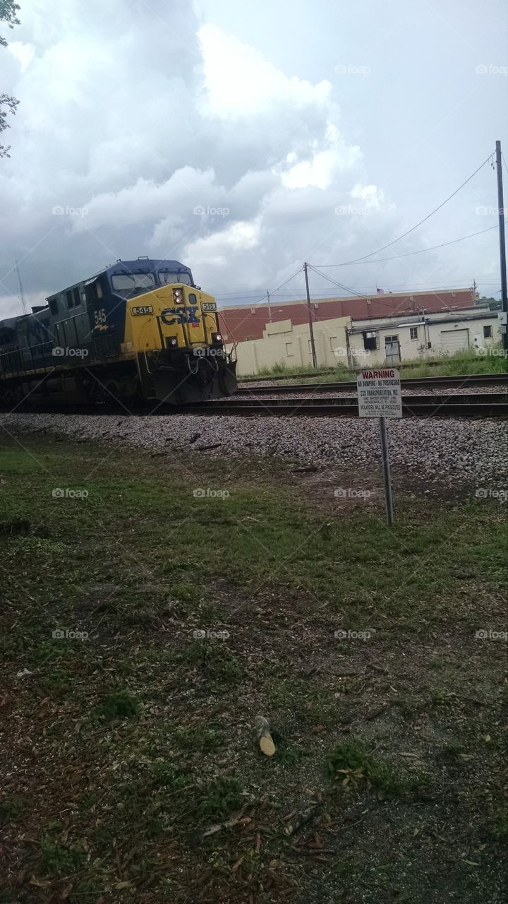 train. it was carrying cars