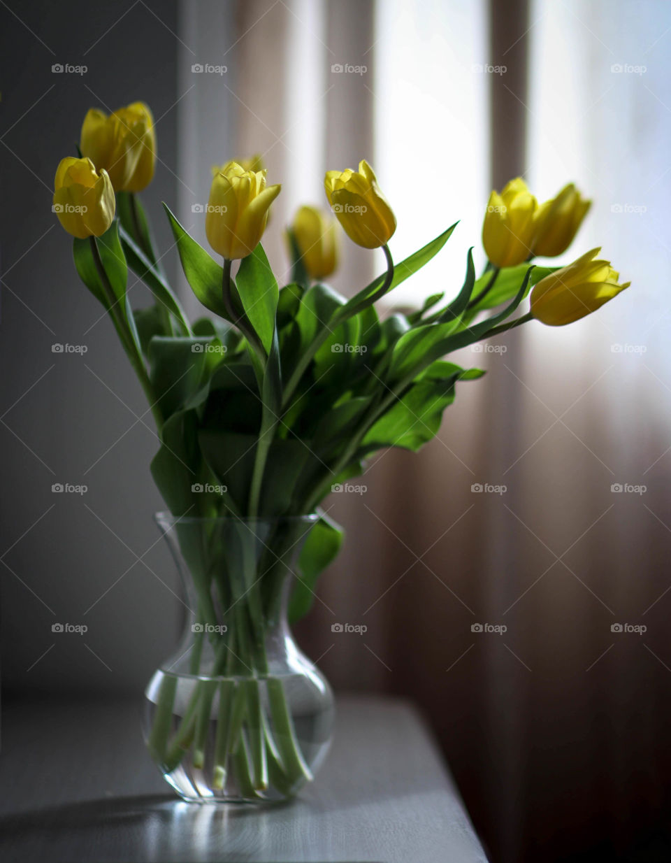 Beautiful yellow tulips in a glass vase