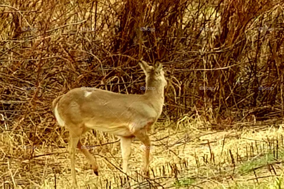 Driving the  back Roads, Enjoying Nature
