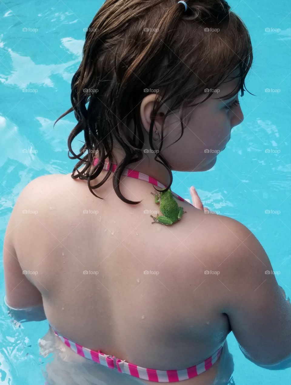 swimming with a frog