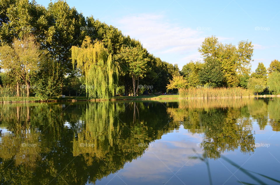 The Ghost. the tree which one is on the middle of the photo like a ghost