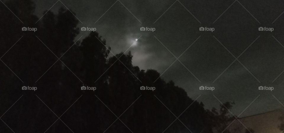 Walking in the moon light I am thinking of you. To whom I never so.🧿❤️✨