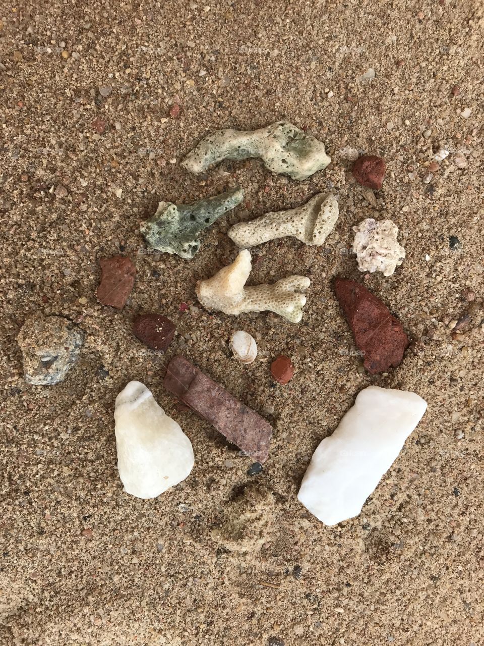 Rare treasures are found in the red sea, in Hurghada, the state of Egypt.