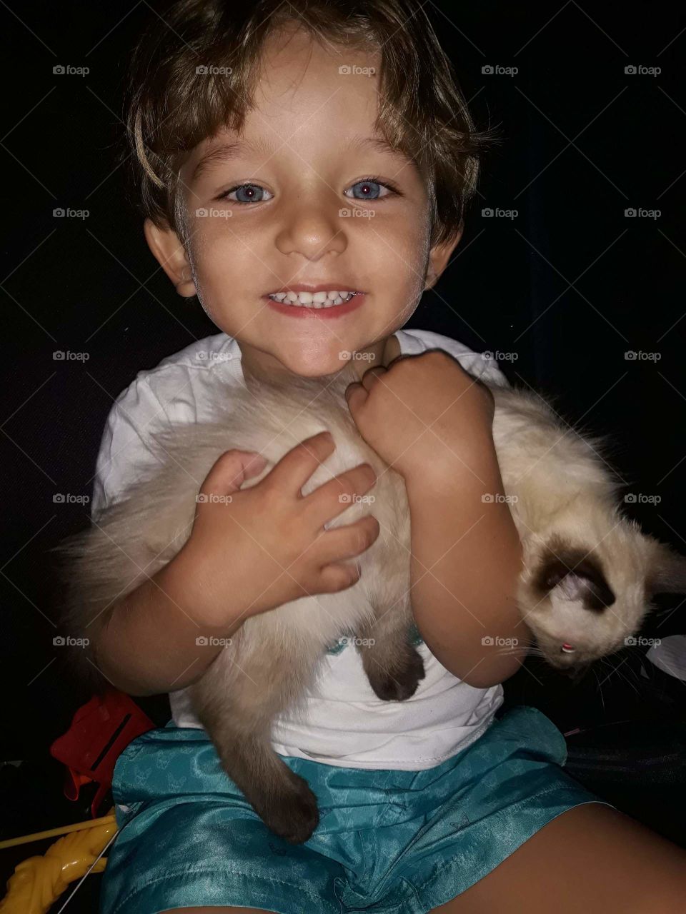 blonde child playing with the cat