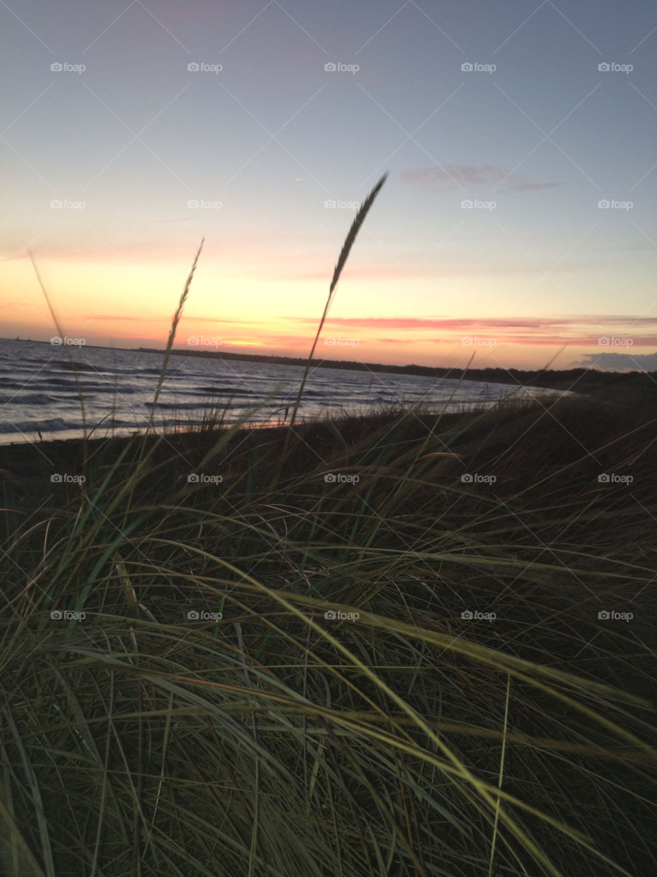 beach sunset water by shec