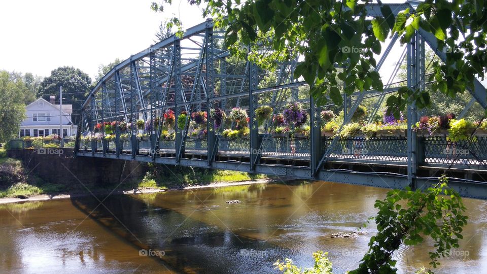 flower crossing. sumsbury, c.t.