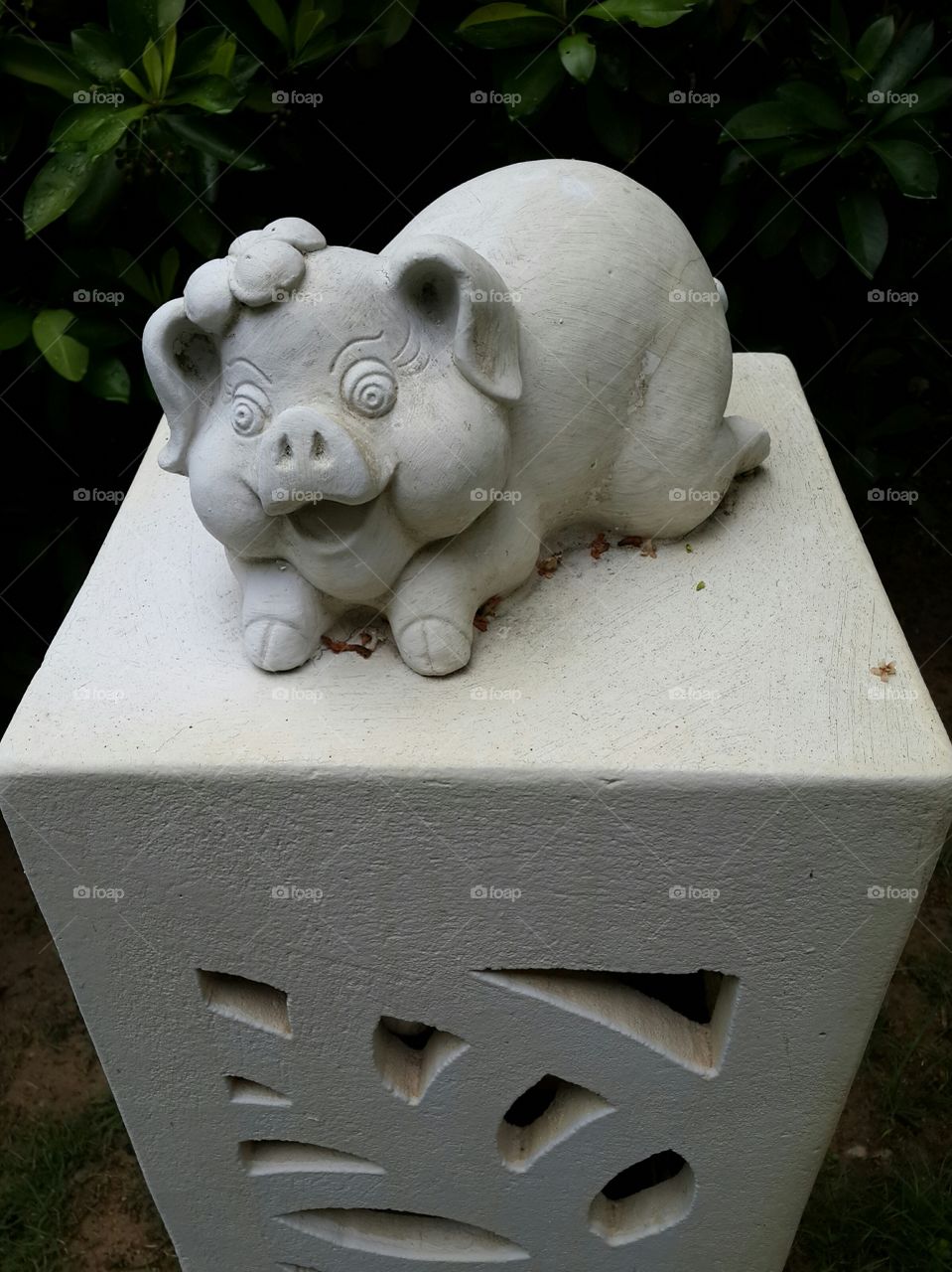 chubby...
lazy days!!!