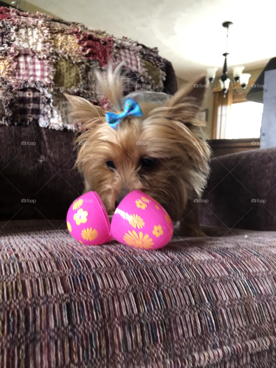 Maisy during her Easter egg hunt 