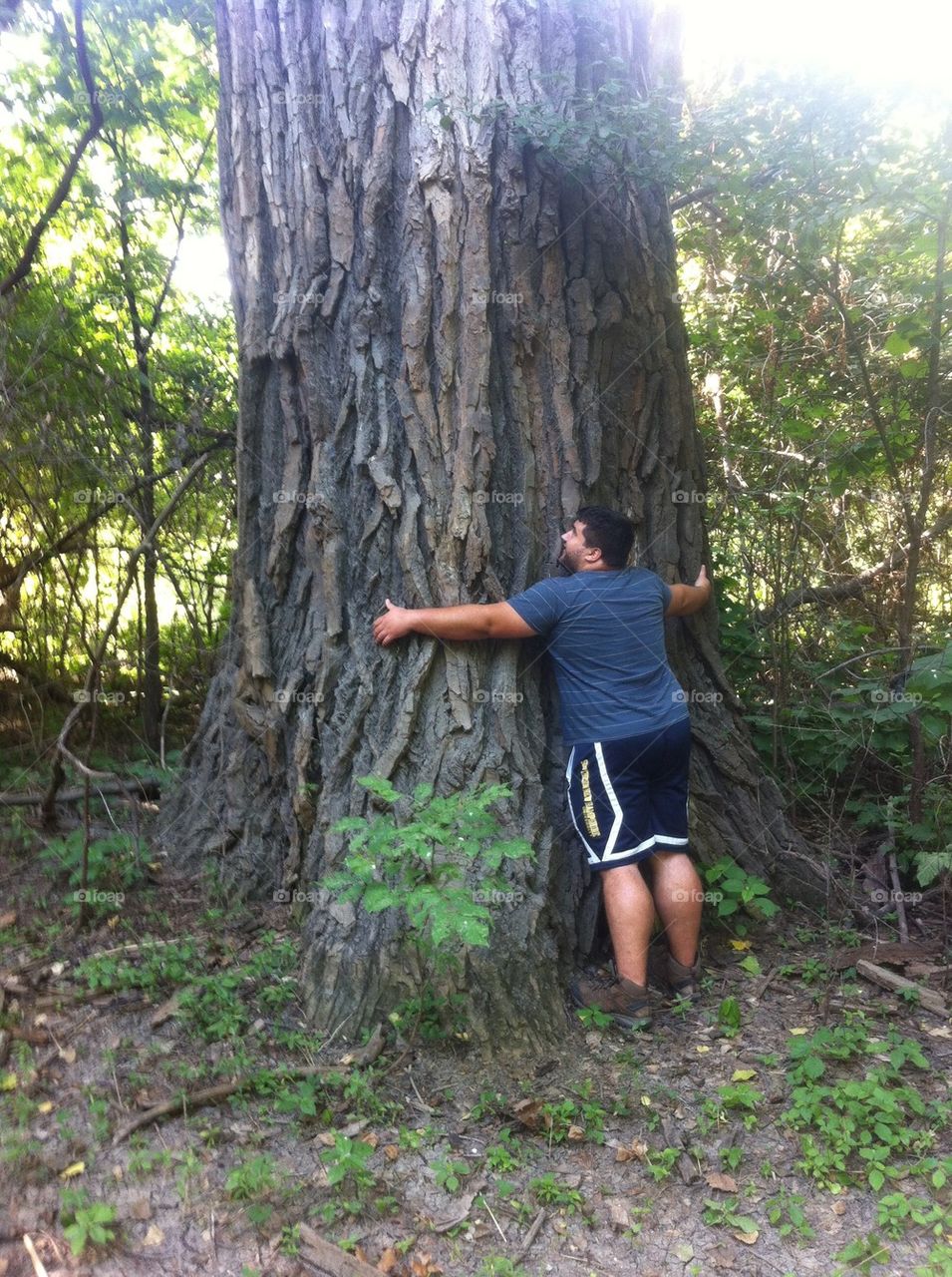 Tree Hugger