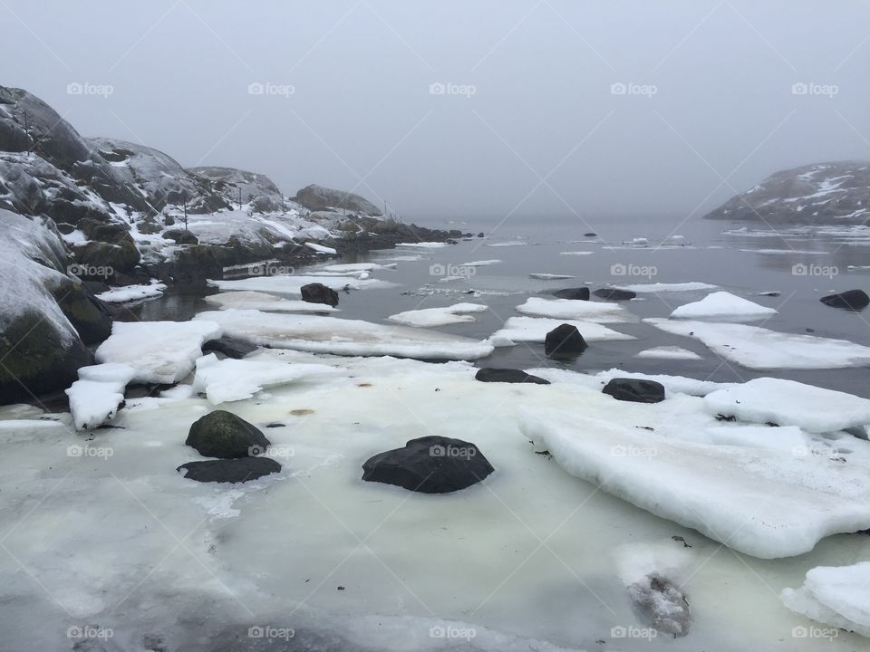 Frozen winter beach