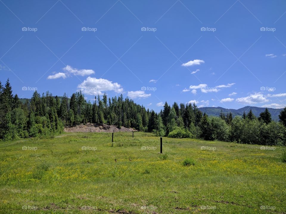 Carpathian mountains landscape