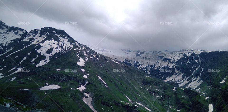 Greenery in ice Valley