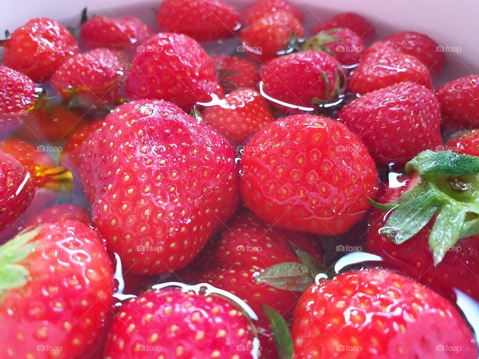 a portrait of fresh red healthy strawberries being washed in a bucket of water.