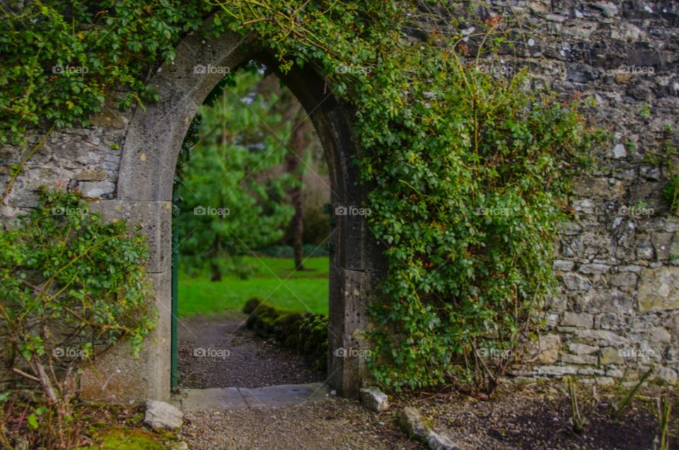 berry walls