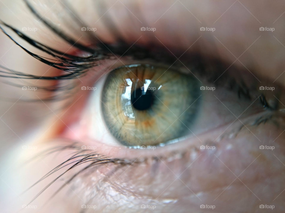 Eye iris macro