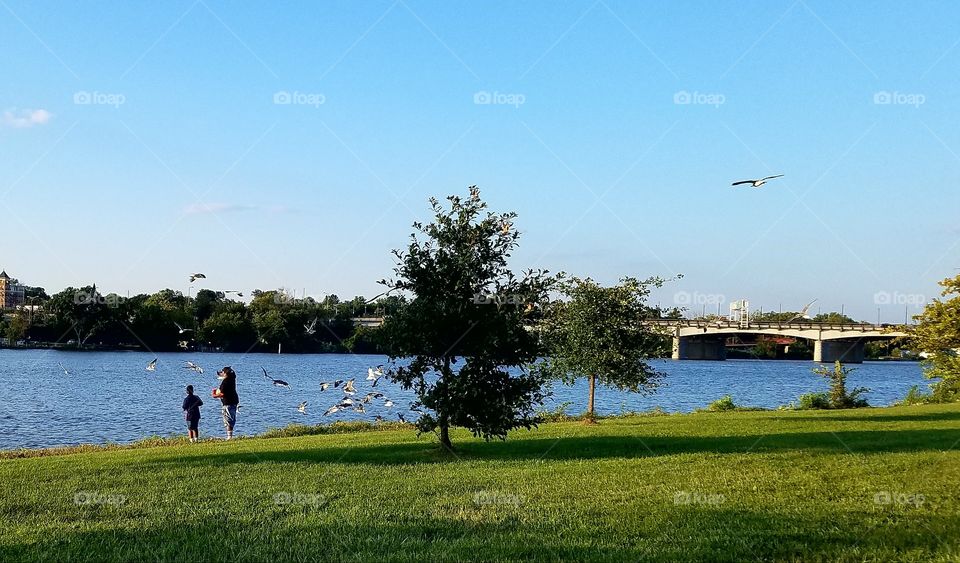 a mother and child feed the seagulls on the Washington DC waterfront